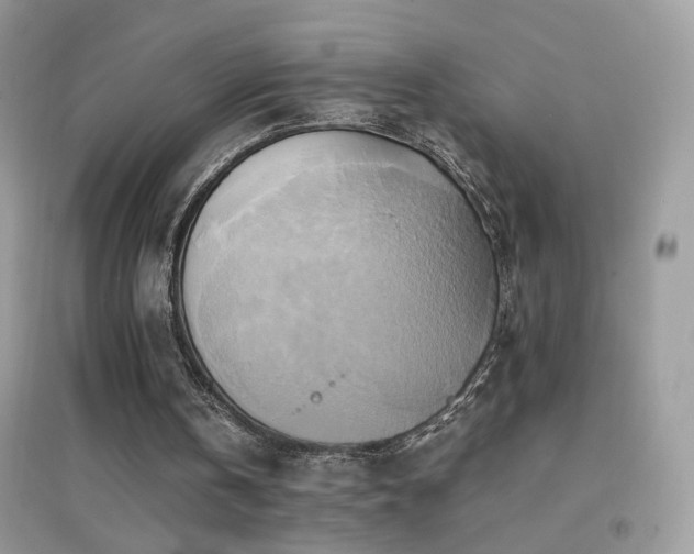 X0000095120146200712071248
