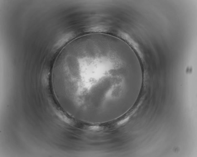 X0000095120153200712071248