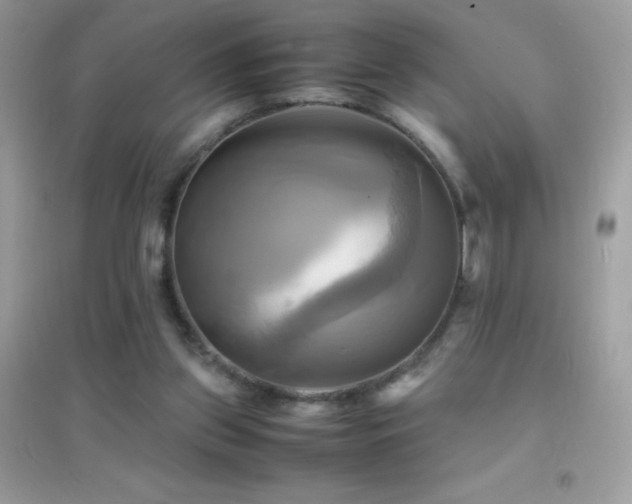 X0000095120157200712071248