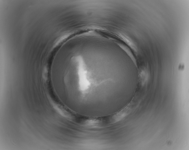 X0000095120158200712071248