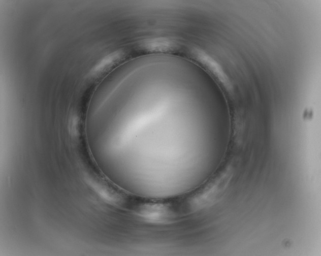 X0000095120161200712071248
