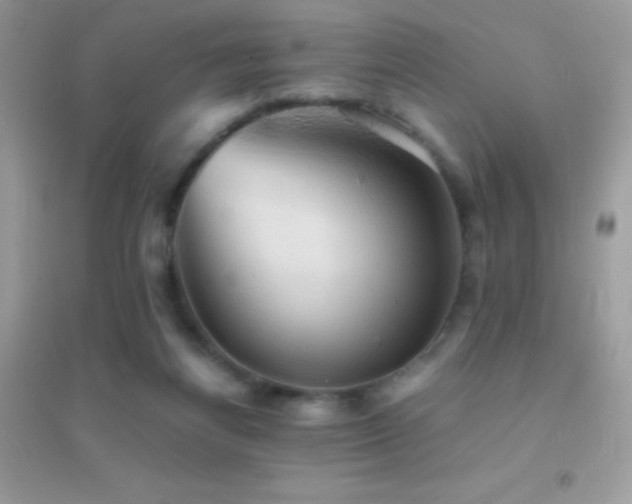 X0000095120164200712071248