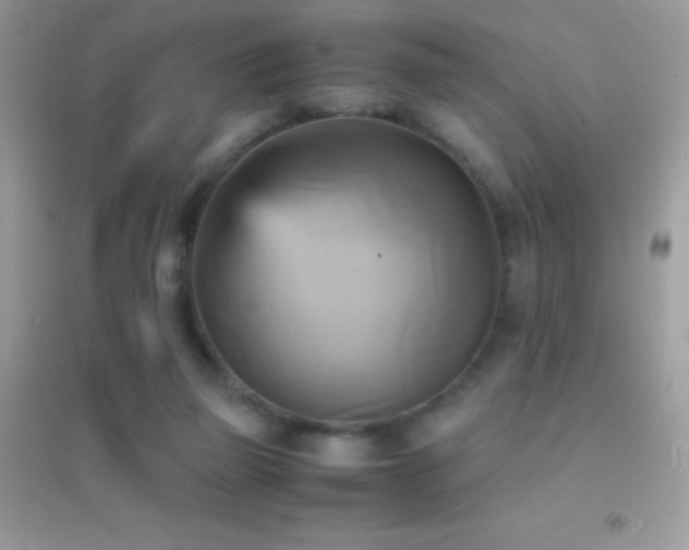 X0000095120165200712071248