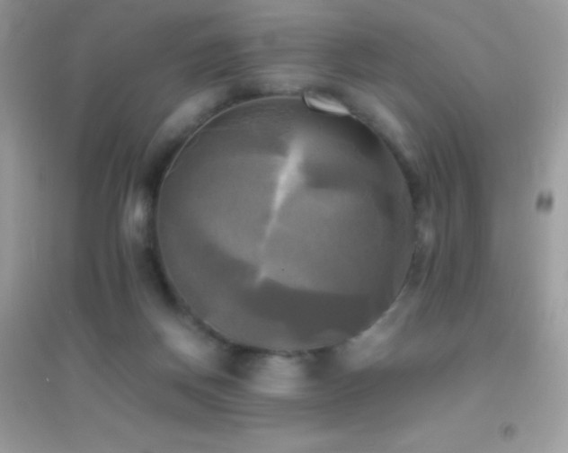 X0000095120166200712071248