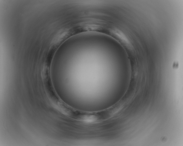X0000095120169200712071248