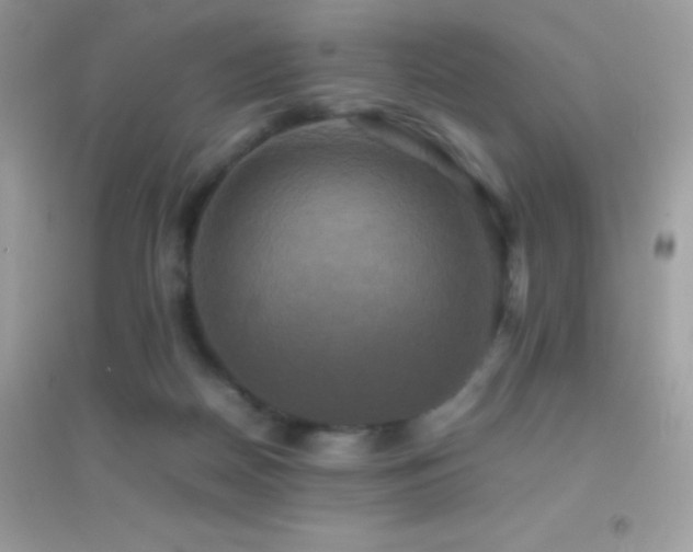 X0000095120170200712071248