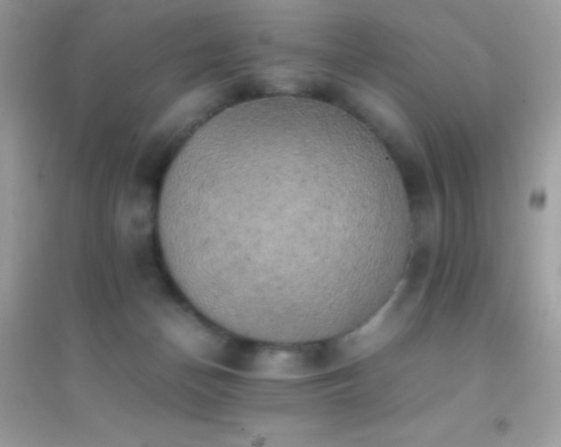 X0000095120174200712071248