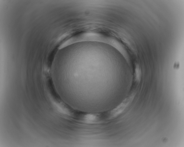 X0000095120176200712071248
