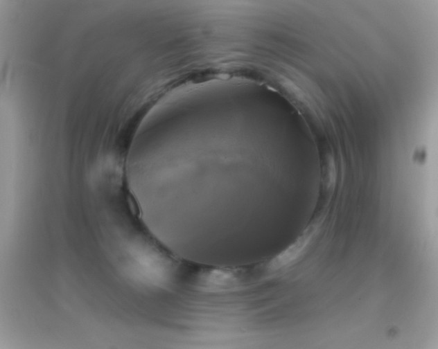 X0000095120180200712071248