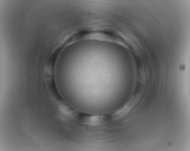 X0000095120184200712071248