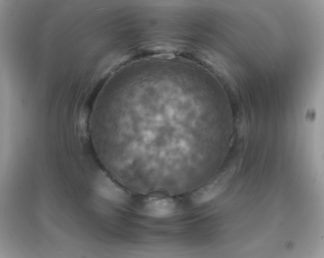 X0000095120185200712071248