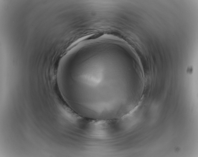 X0000095120186200712071248