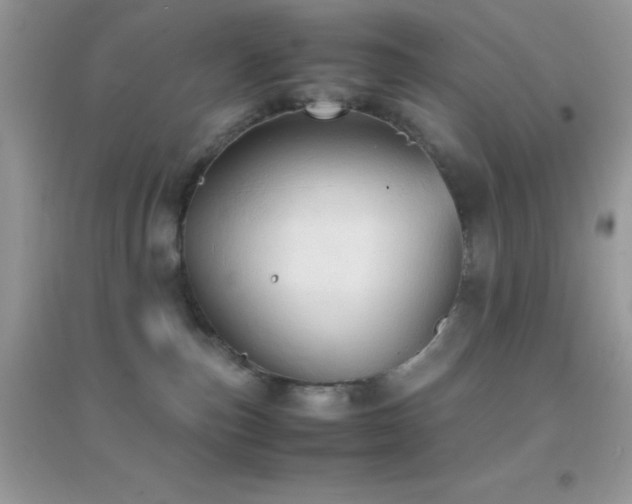 X0000095120187200712071248