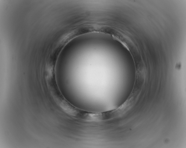 X0000095120188200712071248