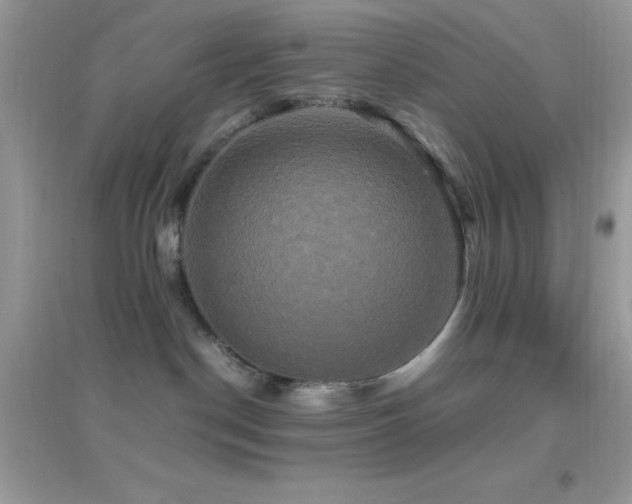 X0000095120190200712071248