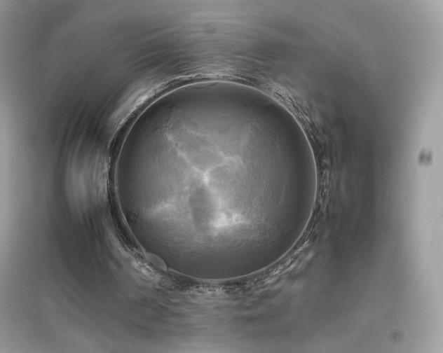 X0000095120194200712071248