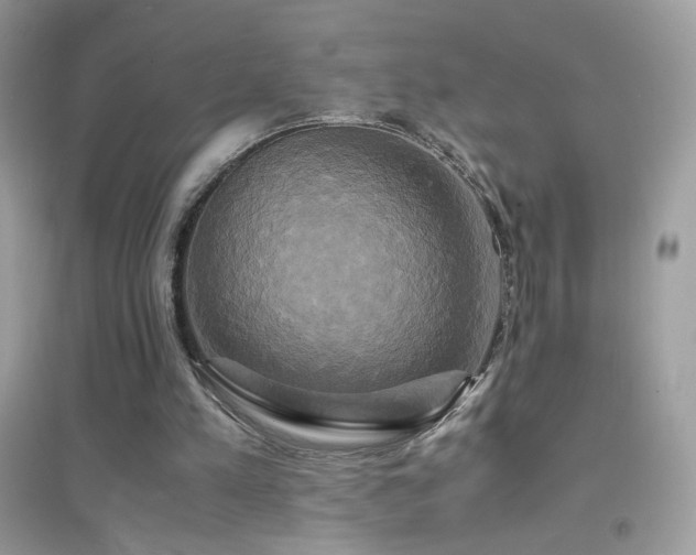 X0000095120197200712071248