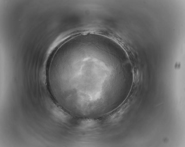 X0000095120198200712071247