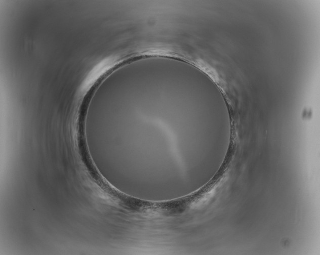 X0000095120199200712071247