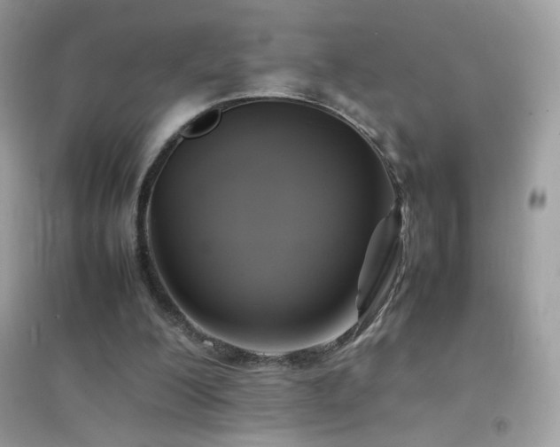 X0000095120200200712071247