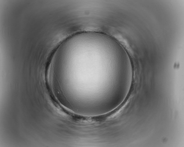 X0000095120201200712071247