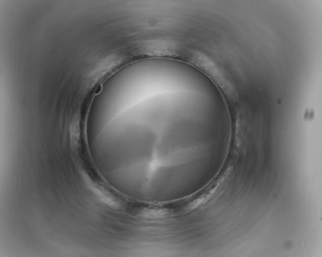 X0000095120202200712071247
