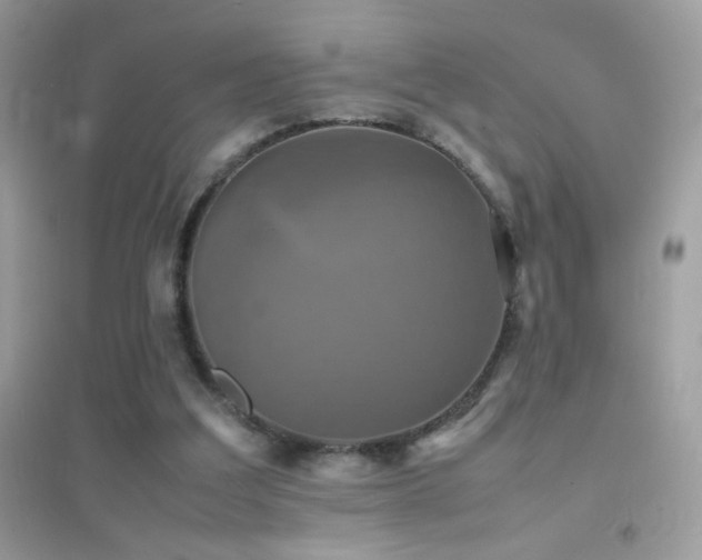 X0000095120203200712071247