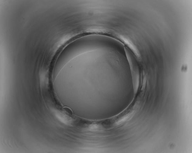 X0000095120204200712071247