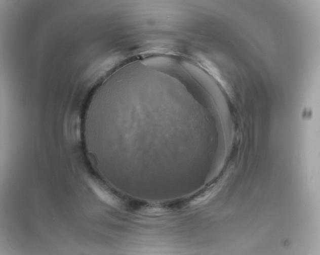 X0000095120205200712071247