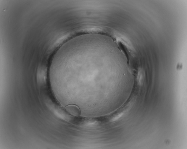 X0000095120206200712071247