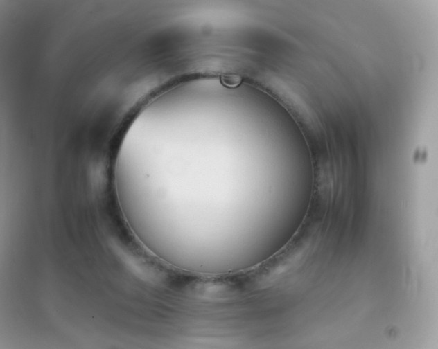 X0000095120208200712071247