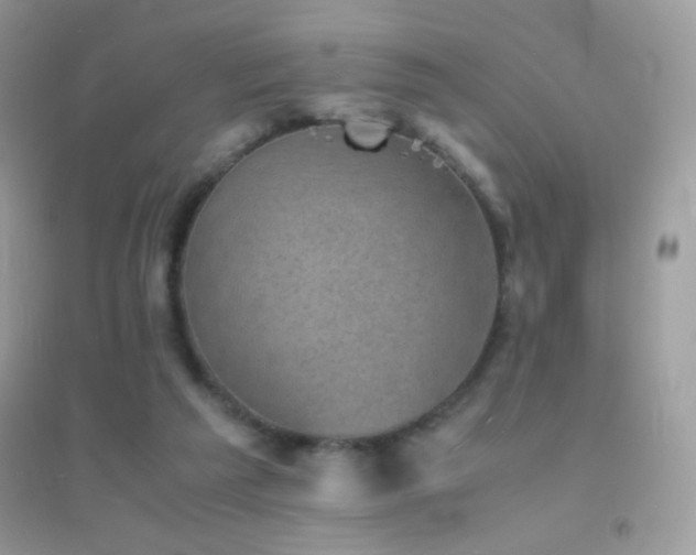 X0000095120209200712071247