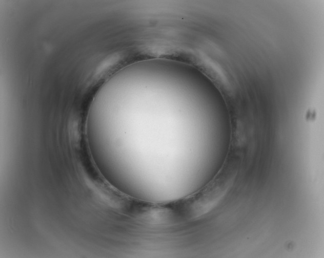 X0000095120210200712071247