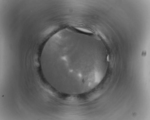 X0000095120211200712071247