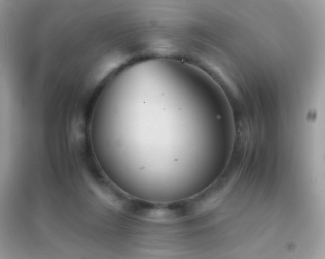 X0000095120212200712071247