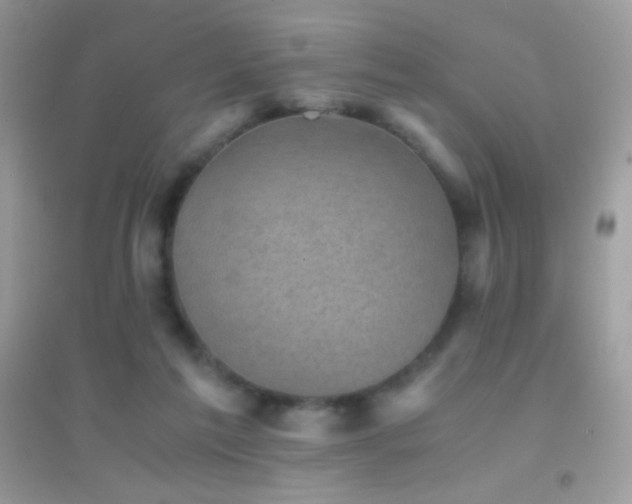 X0000095120213200712071247