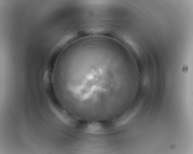 X0000095120214200712071247