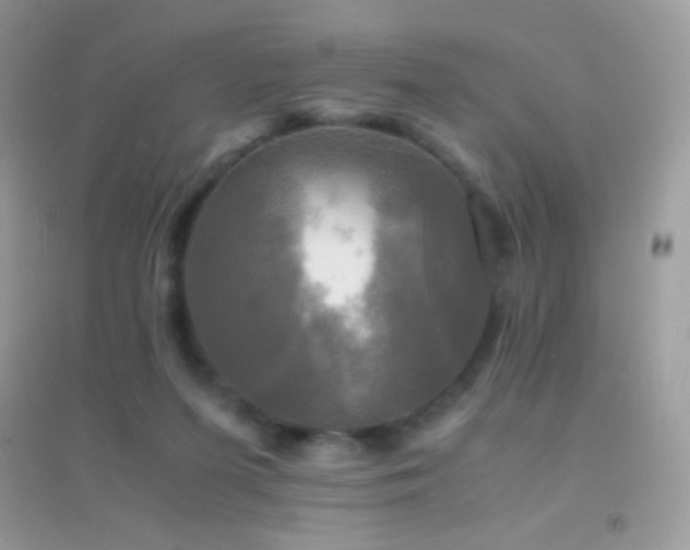 X0000095120215200712071247