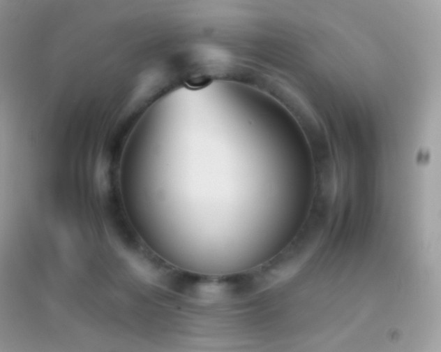 X0000095120216200712071247