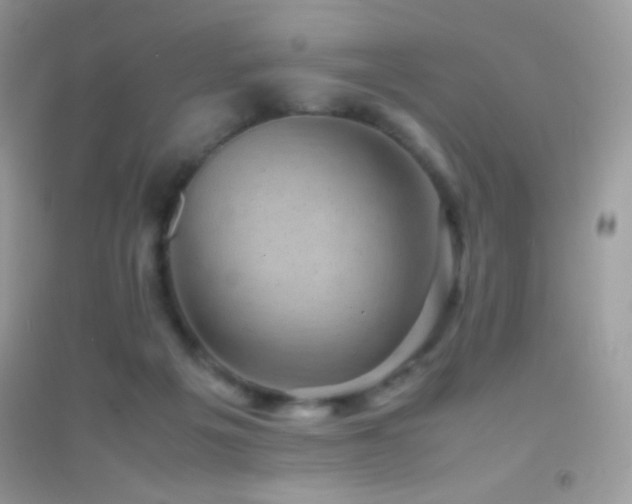 X0000095120217200712071247