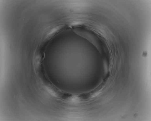 X0000095120219200712071247