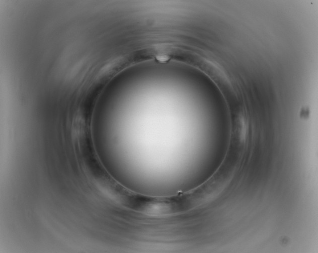 X0000095120220200712071247