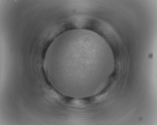 X0000095120221200712071247