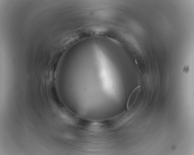 X0000095120222200712071247
