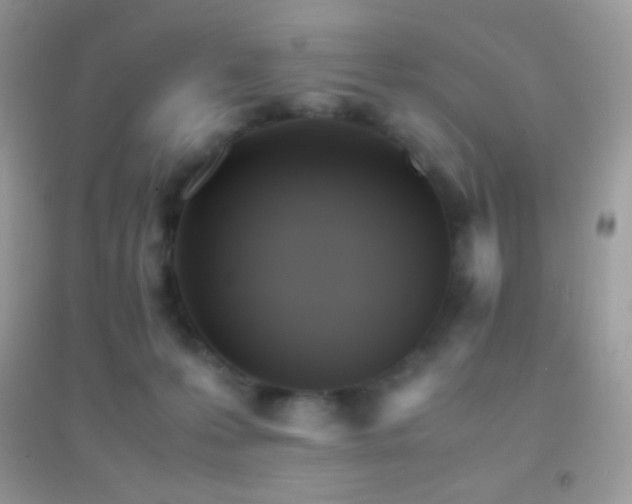 X0000095120223200712071247