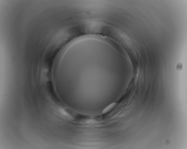X0000095120224200712071247