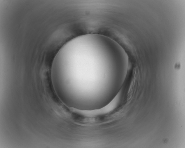 X0000095120225200712071247