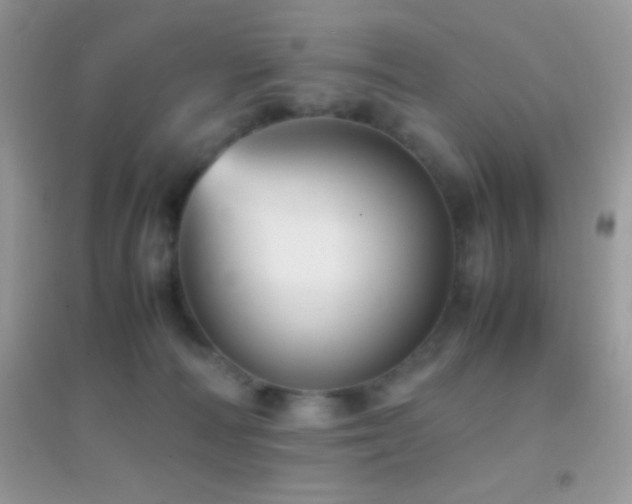 X0000095120226200712071247