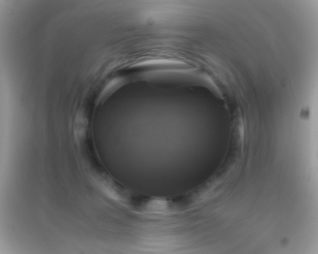 X0000095120227200712071247