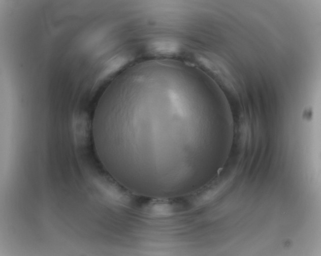 X0000095120228200712071247